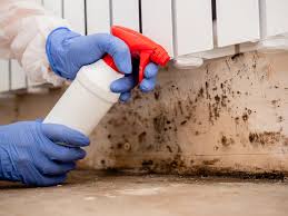 Best Asbestos and Lead Testing During Mold Inspection  in Sam Rayburn, TX